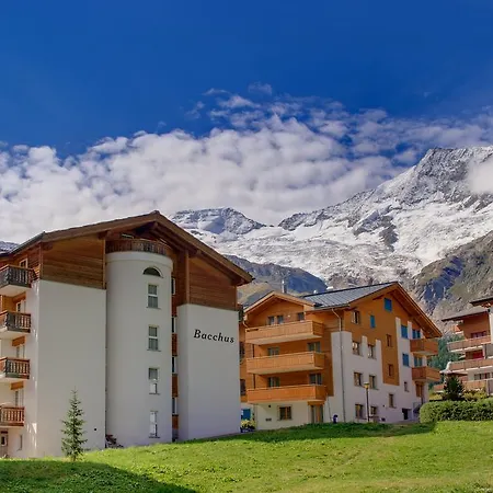 Bacchus Saas Fee